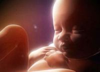 Ребенок в утробе матери: тайная жизнь